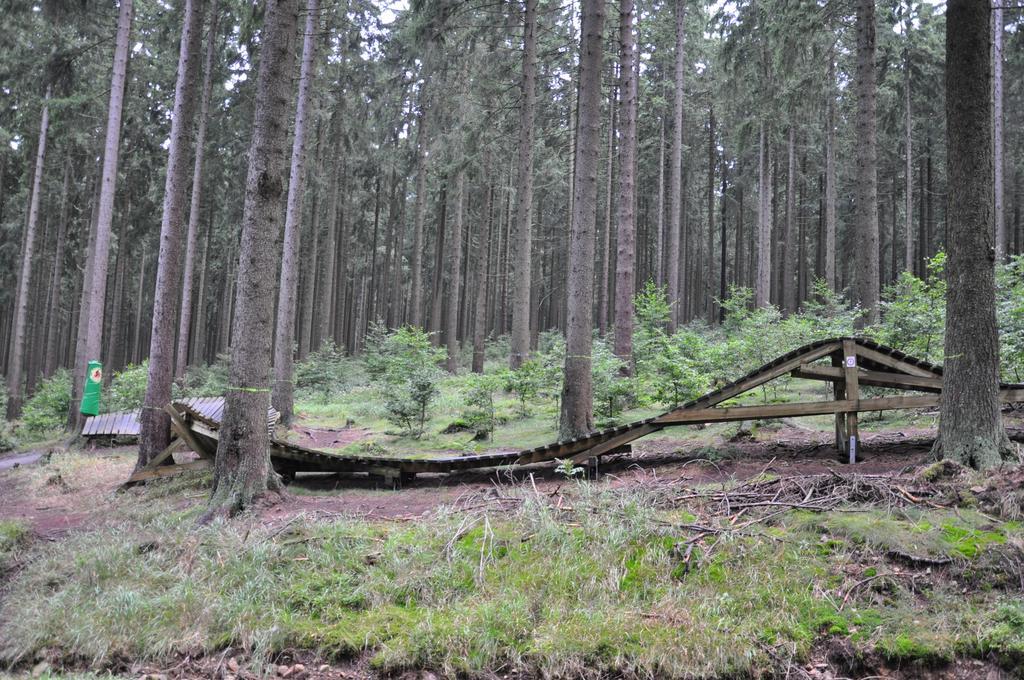 Hotel Sonnenberg Schloesschen Braunlage Eksteriør bilde