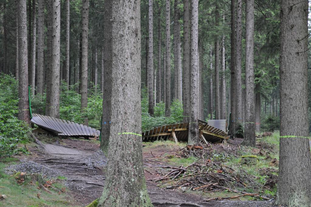 Hotel Sonnenberg Schloesschen Braunlage Eksteriør bilde